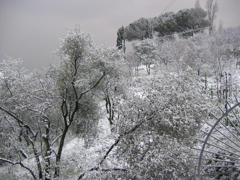 B&B Mare E Monti La Spezia Quarto foto